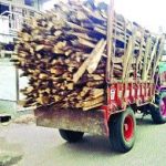 4E1664C5-6663-4B7C-8583-B9847AA84ABB