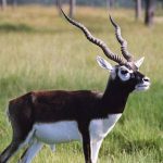 85EDB49C-F830-410B-84D0-93971EE18CBB